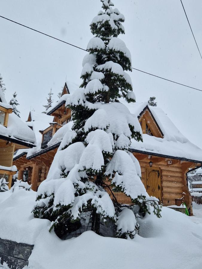 Przytulny Domek I Zakopane Eksteriør bilde